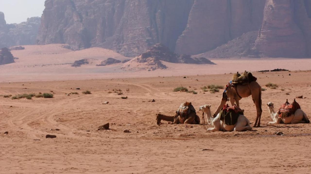 Bedouin Memories Camp Hotel Wadi Rum Eksteriør billede